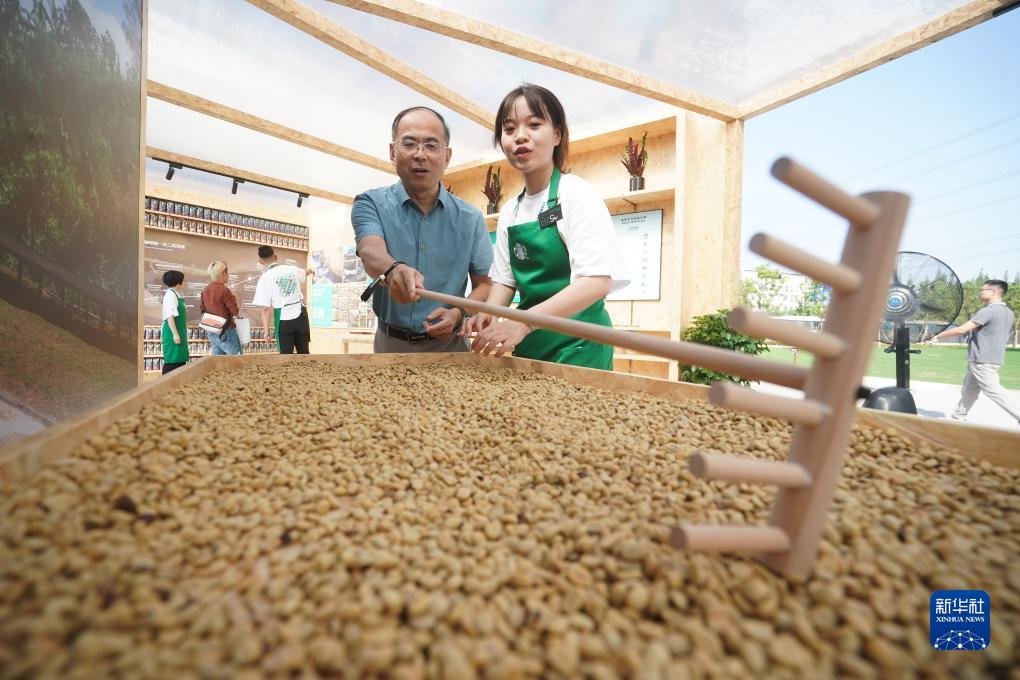 软件投注沙巴